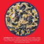 Supreme Wild Bird Mix – Lyric – 20 LB